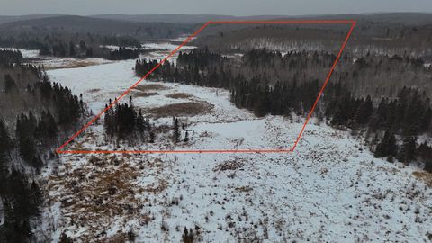 Tiny photo for XXX Zeke's Rd, Schroeder, MN 55613 (MLS # 6123403)