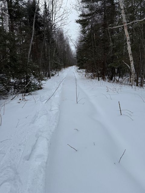 Tiny photo for XXX Zeke's Rd, Schroeder, MN 55613 (MLS # 6123403)