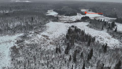 Tiny photo for XXX Zeke's Rd, Schroeder, MN 55613 (MLS # 6123403)