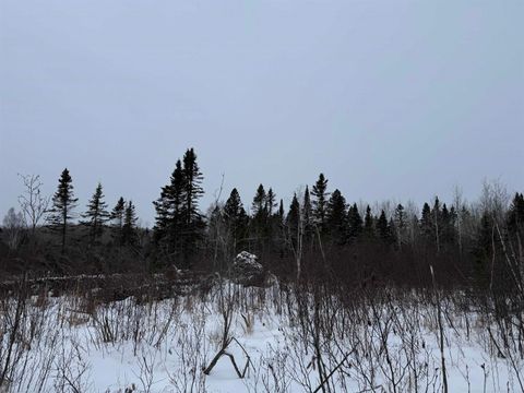 Tiny photo for XXX Zeke's Rd, Schroeder, MN 55613 (MLS # 6123403)
