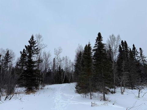 Tiny photo for XXX Zeke's Rd, Schroeder, MN 55613 (MLS # 6123403)