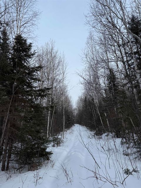 Tiny photo for XXX Zeke's Rd, Schroeder, MN 55613 (MLS # 6123403)