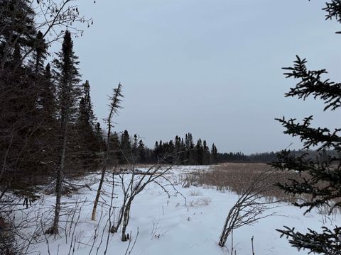 Tiny photo for XXX Zeke's Rd, Schroeder, MN 55613 (MLS # 6123403)