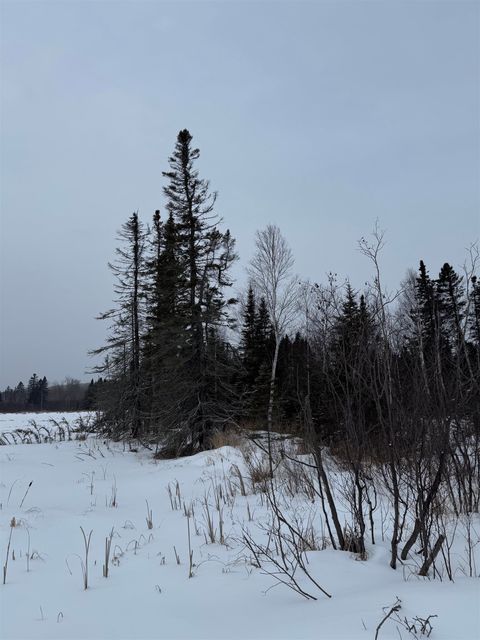 Tiny photo for XXX Zeke's Rd, Schroeder, MN 55613 (MLS # 6123403)