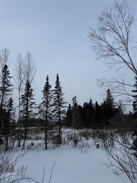 Tiny photo for XXX Zeke's Rd, Schroeder, MN 55613 (MLS # 6123403)