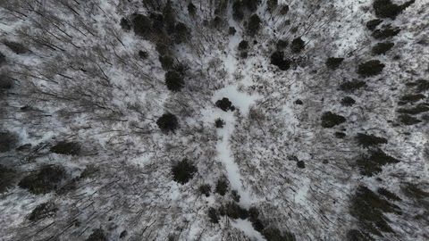 Tiny photo for XXX Zeke's Rd, Schroeder, MN 55613 (MLS # 6123403)