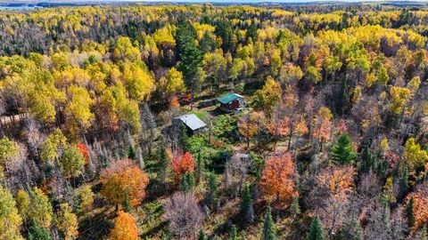 Tiny photo for 3451 Drummond Grade, Two Harbors, MN 55616 (MLS # 6122802)