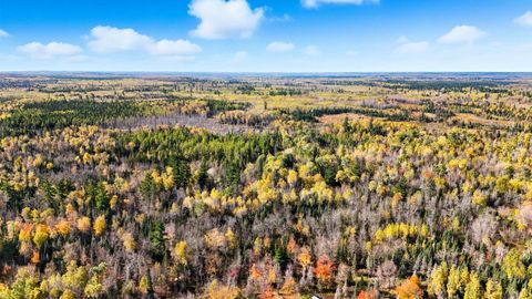 Tiny photo for 3451 Drummond Grade, Two Harbors, MN 55616 (MLS # 6122802)