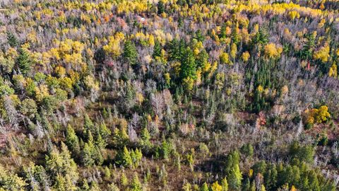 Tiny photo for 3451 Drummond Grade, Two Harbors, MN 55616 (MLS # 6122802)