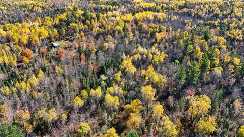 Tiny photo for 3451 Drummond Grade, Two Harbors, MN 55616 (MLS # 6122802)