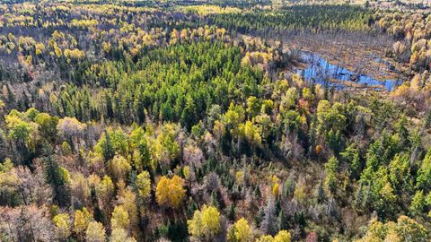 Tiny photo for 3451 Drummond Grade, Two Harbors, MN 55616 (MLS # 6122802)