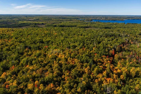 Tiny photo for 52 Caribou Lake Rd, Saginaw, MN 55779 (MLS # 6128149)