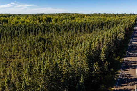 Tiny photo for 52 Caribou Lake Rd, Saginaw, MN 55779 (MLS # 6128149)