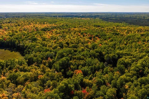 Tiny photo for 52 Caribou Lake Rd, Saginaw, MN 55779 (MLS # 6128149)