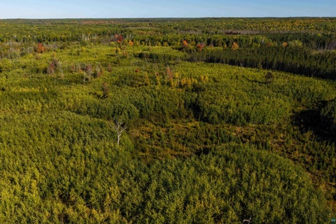 Tiny photo for 52 Caribou Lake Rd, Saginaw, MN 55779 (MLS # 6128149)