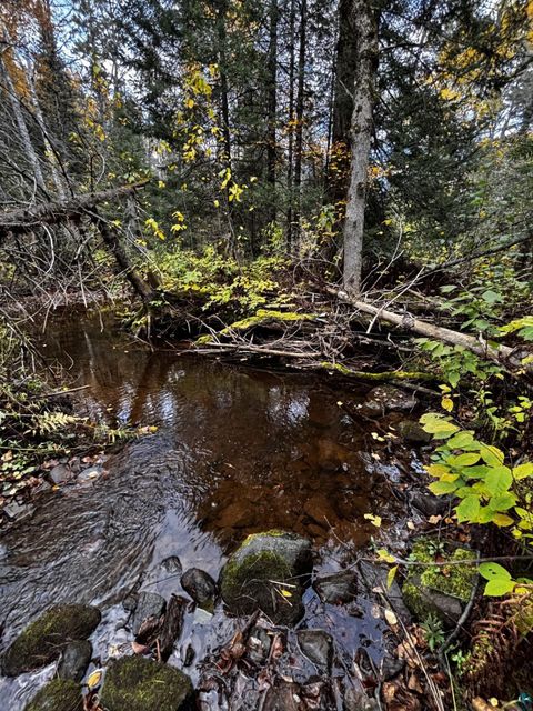 Tiny photo for 1774 Highway 2, Two Harbors, MN 55616 (MLS # 6123778)