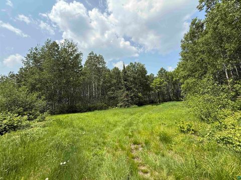 Tiny photo for TBD Samuelson Rd, Angora, MN 55703 (MLS # 6126166)