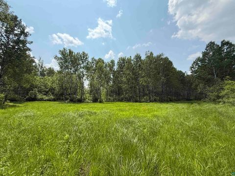 Tiny photo for TBD Samuelson Rd, Angora, MN 55703 (MLS # 6126166)