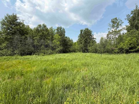 Tiny photo for TBD Samuelson Rd, Angora, MN 55703 (MLS # 6126166)