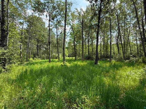Tiny photo for TBD Samuelson Rd, Angora, MN 55703 (MLS # 6126166)