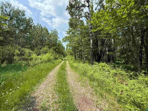 Tiny photo for TBD Samuelson Rd, Angora, MN 55703 (MLS # 6126166)