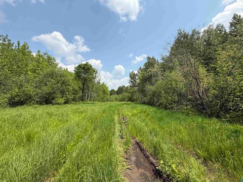 Tiny photo for TBD Samuelson Rd, Angora, MN 55703 (MLS # 6126166)