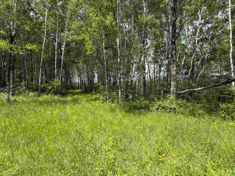 Tiny photo for TBD Samuelson Rd, Angora, MN 55703 (MLS # 6126166)