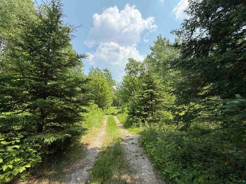 Tiny photo for TBD Samuelson Rd, Angora, MN 55703 (MLS # 6126166)