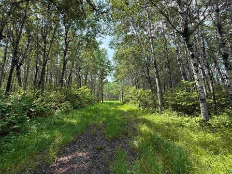 Tiny photo for TBD Samuelson Rd, Angora, MN 55703 (MLS # 6126166)