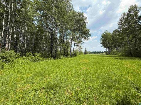 Tiny photo for TBD Samuelson Rd, Angora, MN 55703 (MLS # 6126166)