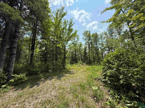 Tiny photo for TBD Samuelson Rd, Angora, MN 55703 (MLS # 6126166)