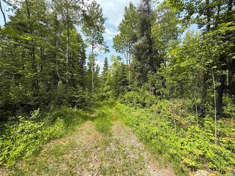 Tiny photo for TBD Samuelson Rd, Angora, MN 55703 (MLS # 6126166)