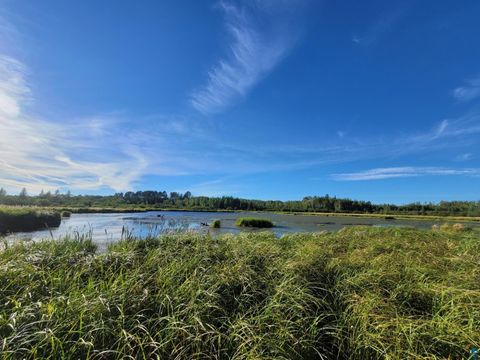 Tiny photo for TBD Samuelson Rd, Angora, MN 55703 (MLS # 6126166)