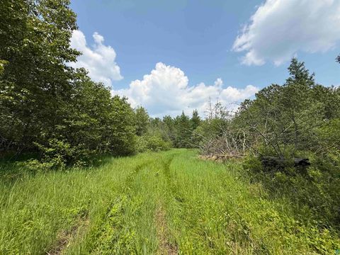 Tiny photo for TBD Samuelson Rd, Angora, MN 55703 (MLS # 6126166)