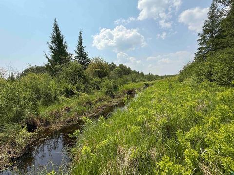 Tiny photo for TBD Samuelson Rd, Angora, MN 55703 (MLS # 6126166)