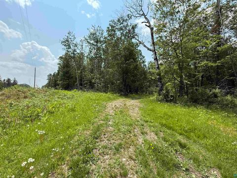 Photo of TBD Samuelson Rd, Angora, MN 55703 (MLS # 6126166)