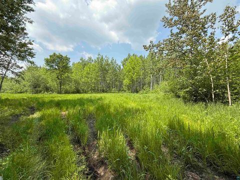 Tiny photo for TBD Samuelson Rd, Angora, MN 55703 (MLS # 6126166)