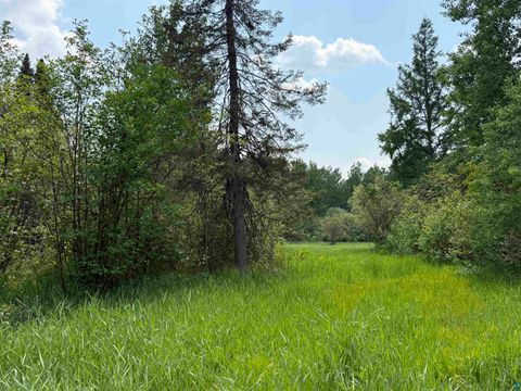 Tiny photo for TBD Samuelson Rd, Angora, MN 55703 (MLS # 6126166)