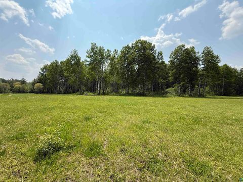 Tiny photo for TBD Samuelson Rd, Angora, MN 55703 (MLS # 6126166)