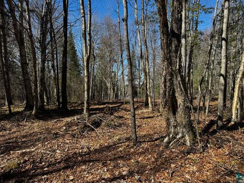 Tiny photo for 417 Barrell Road, Ely, MN 55731 (MLS # 6124871)