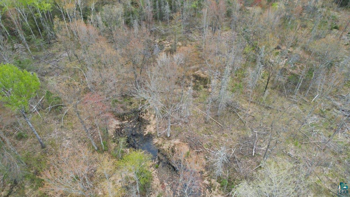 17XX E Pearson Rd