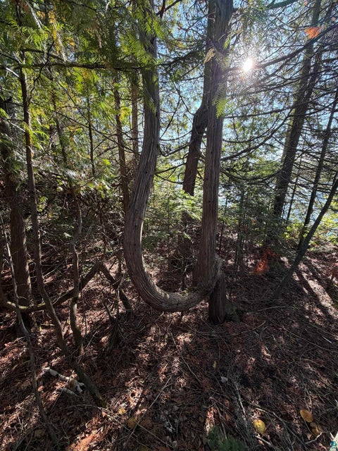 Tiny photo for 7200 Foster Island, Duluth, MN 55803 (MLS # 6128231)