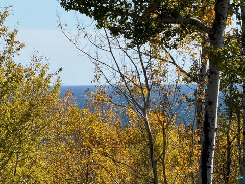 Tiny photo for 8561 Hwy 61 W, Schroeder, MN 55613 (MLS # 6128431)