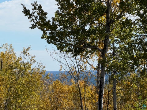 Tiny photo for 8561 Hwy 61 W, Schroeder, MN 55613 (MLS # 6128431)