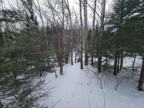 Tiny photo for 526 W 5th St, Grand Marais, MN 55604 (MLS # 6123728)