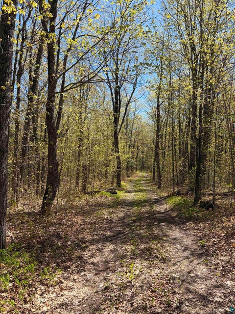 Tiny photo for 4715 Hefflefinger Rd, Finland, MN 55603 (MLS # 6128033)