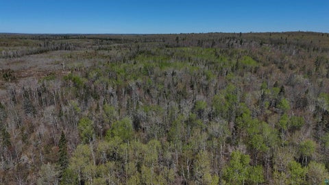 Tiny photo for 4715 Hefflefinger Rd, Finland, MN 55603 (MLS # 6128033)