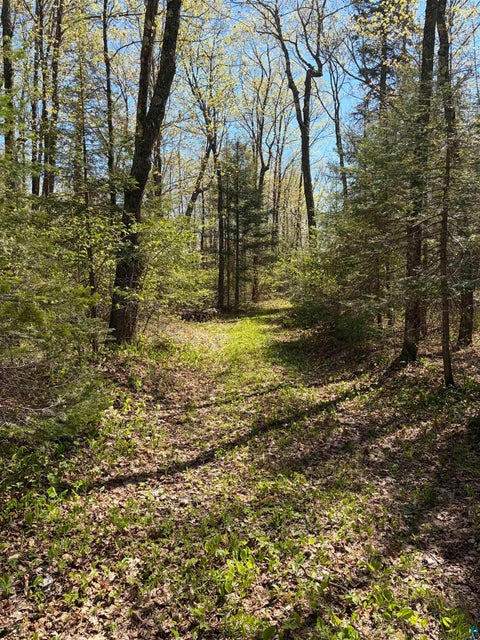 Tiny photo for 4715 Hefflefinger Rd, Finland, MN 55603 (MLS # 6128033)