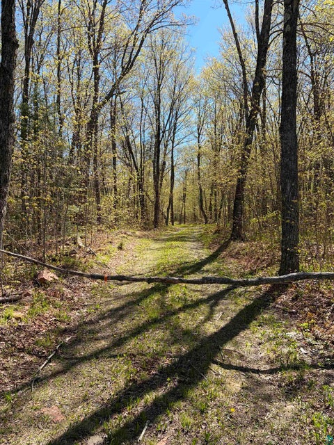 Tiny photo for 4715 Hefflefinger Rd, Finland, MN 55603 (MLS # 6128033)