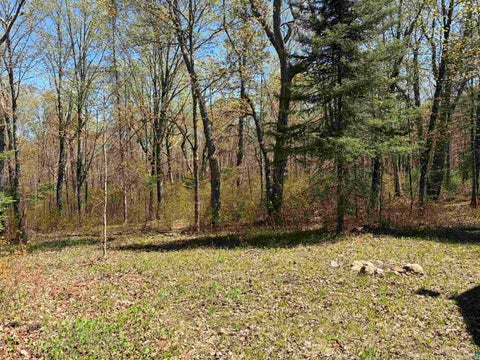 Tiny photo for 4715 Hefflefinger Rd, Finland, MN 55603 (MLS # 6128033)